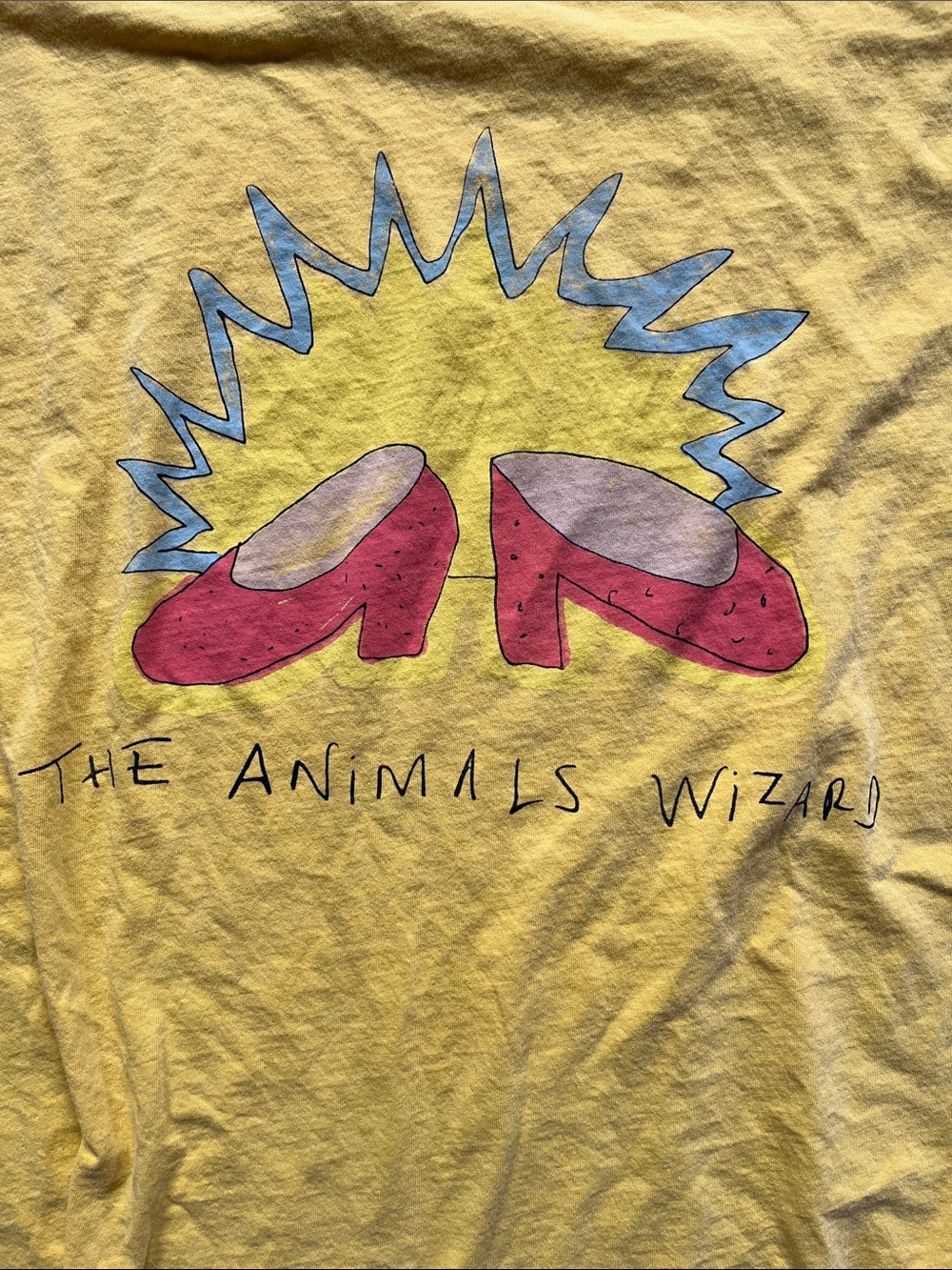 The Animals Observatory Wizard of Oz tee sz 12
